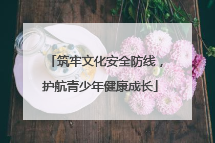 筑牢文化安全防线，护航青少年健康成长