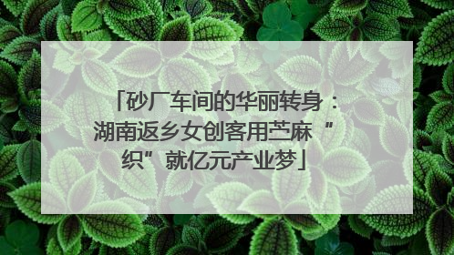 砂厂车间的华丽转身：湖南返乡女创客用苎麻“织”就亿元产业梦