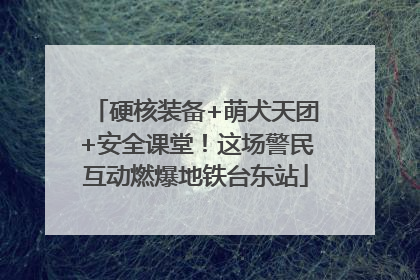 硬核装备+萌犬天团+安全课堂！这场警民互动燃爆地铁台东站