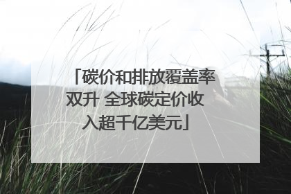 碳价和排放覆盖率双升 全球碳定价收入超千亿美元