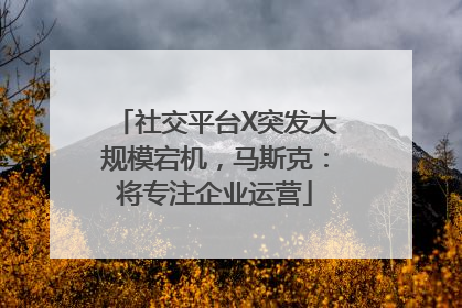 社交平台X突发大规模宕机，马斯克：将专注企业运营
