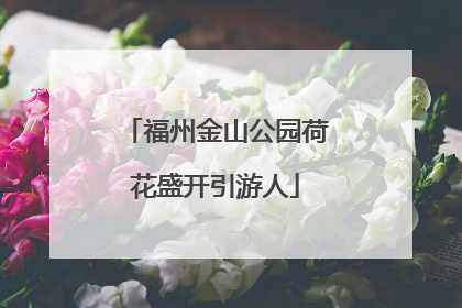 福州金山公园荷花盛开引游人