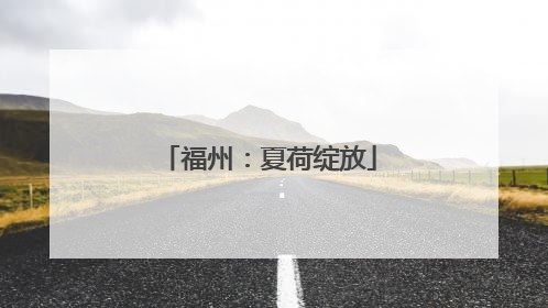 福州:夏荷绽放