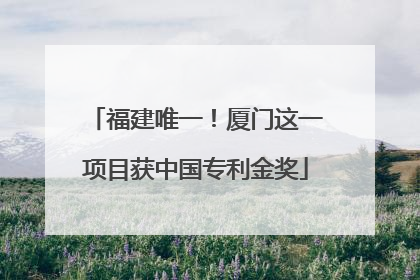 福建唯一！厦门这一项目获中国专利金奖