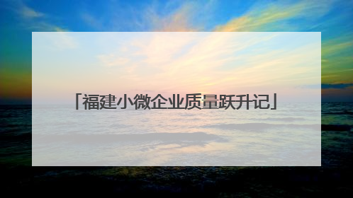 福建小微企业质量跃升记