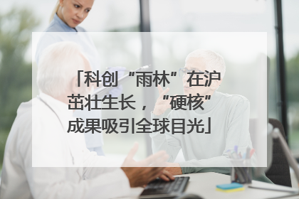 科创“雨林”在沪茁壮生长，“硬核”成果吸引全球目光