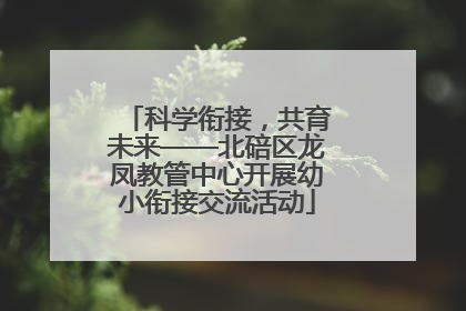 科学衔接，共育未来——北碚区龙凤教管中心开展幼小衔接交流活动