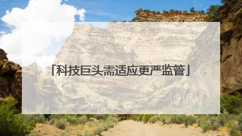 科技巨头需适应更严监管