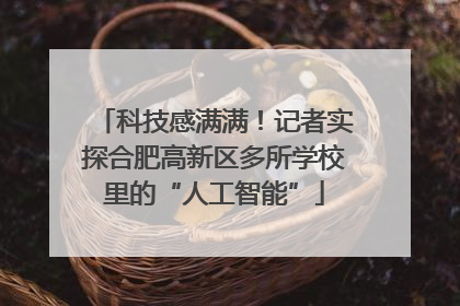科技感满满！记者实探合肥高新区多所学校里的“人工智能”