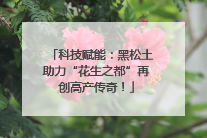 科技赋能：黑松土助力“花生之都”再创高产传奇！