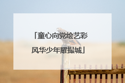 童心向党绘艺彩 风华少年耀撮城