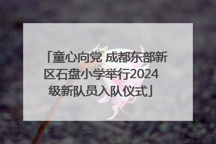 童心向党 成都东部新区石盘小学举行2024级新队员入队仪式