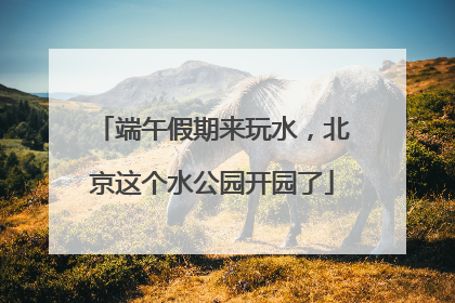端午假期来玩水，北京这个水公园开园了