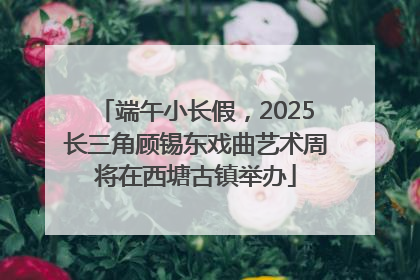 端午小长假，2025长三角顾锡东戏曲艺术周将在西塘古镇举办