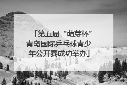 第五届“萌芽杯”青岛国际乒乓球青少年公开赛成功举办