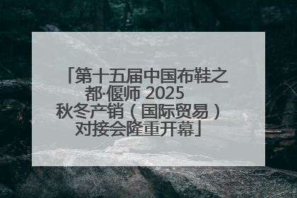 第十五届中国布鞋之都·偃师 2025 秋冬产销（国际贸易）对接会隆重开幕