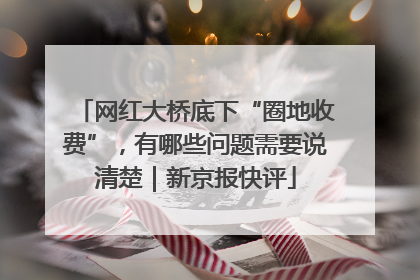 网红大桥底下“圈地收费”，有哪些问题需要说清楚｜新京报快评