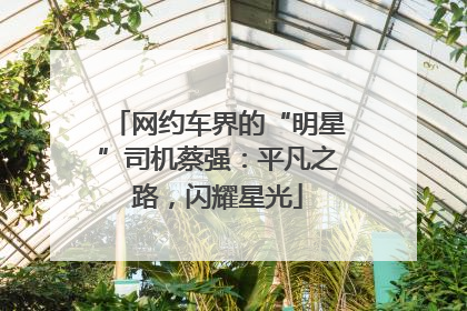 网约车界的“明星”司机蔡强：平凡之路，闪耀星光