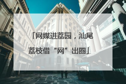 网媒进荔园，汕尾荔枝借“网”出圈