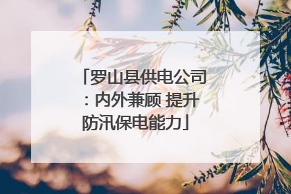 罗山县供电公司：内外兼顾 提升防汛保电能力