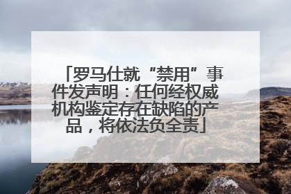 罗马仕就“禁用”事件发声明：任何经权威机构鉴定存在缺陷的产品，将依法负全责
