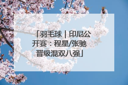 羽毛球｜印尼公开赛：程星/张驰晋级混双八强