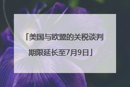 美国与欧盟的关税谈判期限延长至7月9日