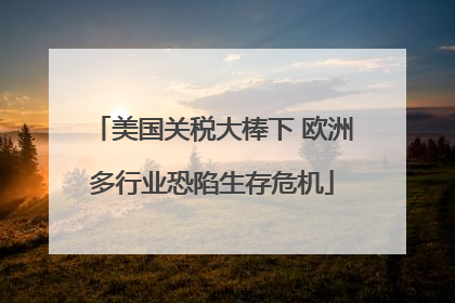 美国关税大棒下 欧洲多行业恐陷生存危机