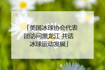 美国冰球协会代表团访问黑龙江 共话冰球运动发展