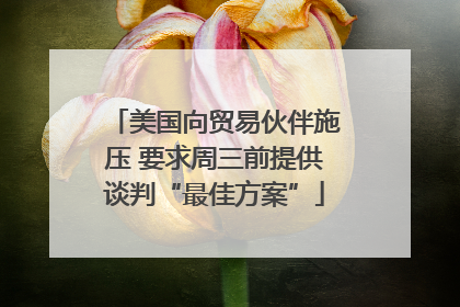 美国向贸易伙伴施压 要求周三前提供谈判“最佳方案”
