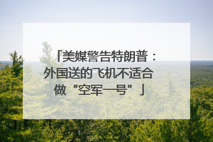 美媒警告特朗普：外国送的飞机不适合做“空军一号”
