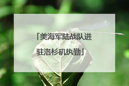美海军陆战队进驻洛杉矶执勤