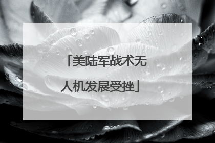 美陆军战术无人机发展受挫