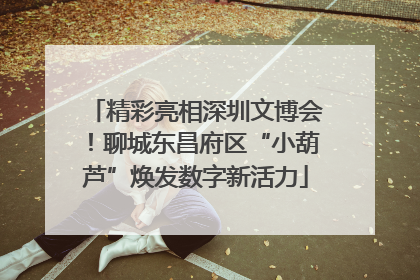 精彩亮相深圳文博会！聊城东昌府区“小葫芦”焕发数字新活力