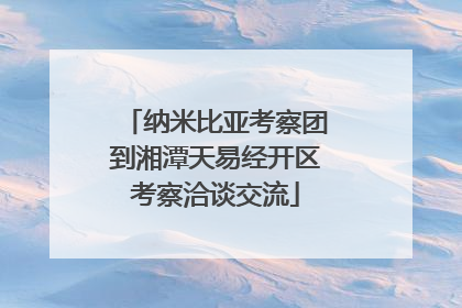 纳米比亚考察团到湘潭天易经开区考察洽谈交流