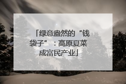 绿意盎然的“钱袋子”：高原夏菜成富民产业