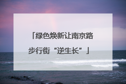 绿色焕新让南京路步行街“逆生长”