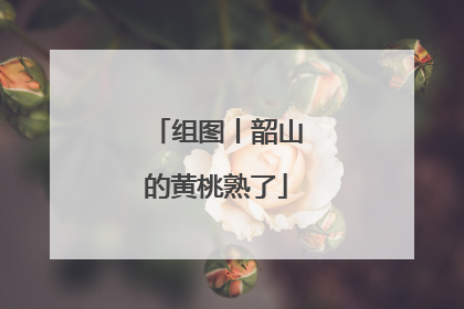 组图丨韶山的黄桃熟了
