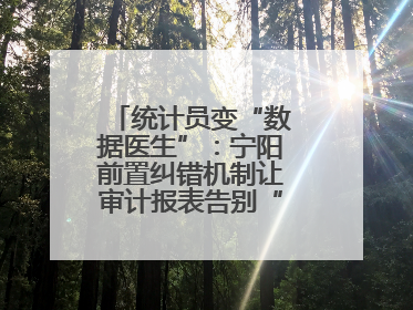 统计员变“数据医生”：宁阳前置纠错机制让审计报表告别“带病上岗”