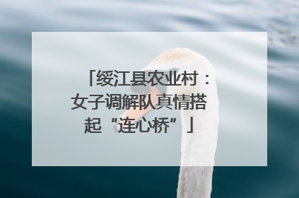 绥江县农业村：女子调解队真情搭起“连心桥”
