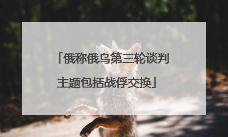 俄称俄乌第三轮谈判主题包括战俘交换
