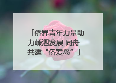 侨界青年力量助力嵊泗发展 同舟共建“侨爱岛”