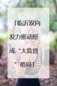 临沂双向发力推动形成“大监督”格局