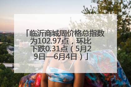 临沂商城周价格总指数为102.97点，环比下跌0.31点（5月29日—6月4日）