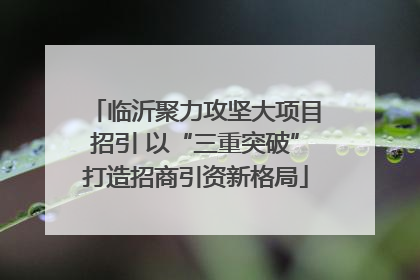 临沂聚力攻坚大项目招引 以“三重突破”打造招商引资新格局