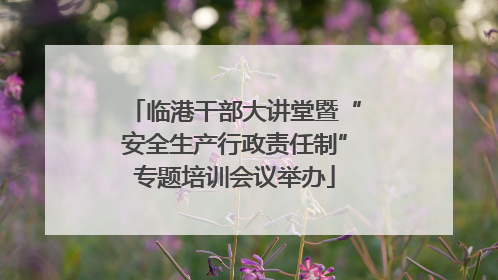 临港干部大讲堂暨“安全生产行政责任制”专题培训会议举办
