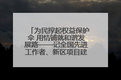 为民撑起权益保护伞 用情铺就和谐发展路——记全国先进工作者、新区项目建设中心干部卢小勇