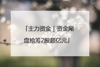 主力资金｜资金尾盘抢筹2股超亿元