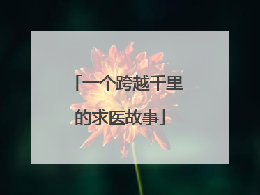 一个跨越千里的求医故事