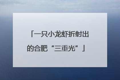 一只小龙虾折射出的合肥“三重光”
